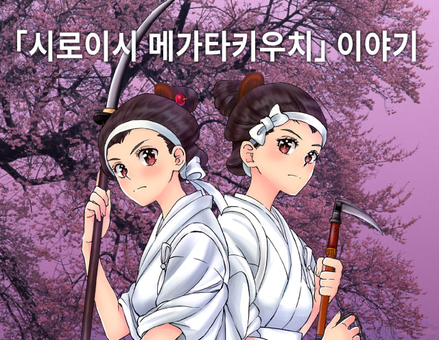 시로이시 메가타키우치